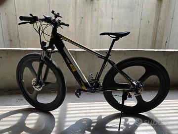 e bike