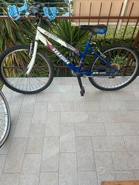 Bicicletta mountain bike