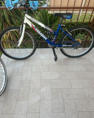 Bicicletta mountain bike