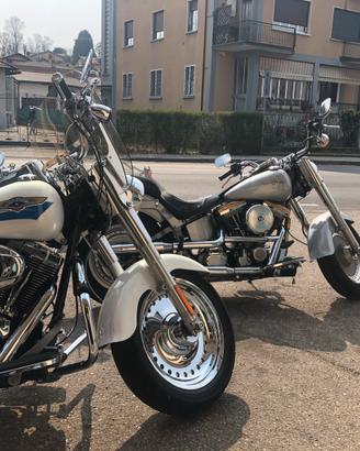 Harley fat boy