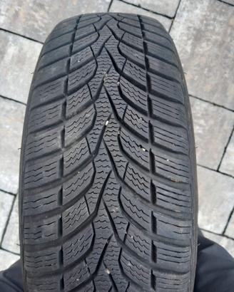 gomme da neve
