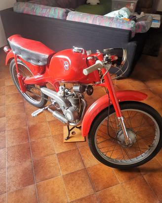 Motom ss supersport