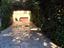 Immagine 11