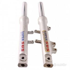 Coppia foderi forcella con steli per scooter WT Mo