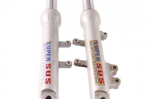 Coppia foderi forcella con steli per scooter WT Mo