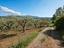 Immagine 25