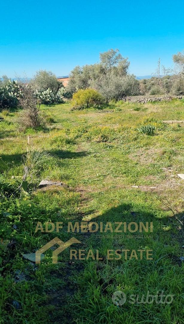 Terreno Agricolo Con Piccolo Rudere - Vista 4