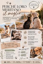 Pet sitting e passeggiate