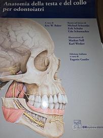 anatomia della testa e del collo per odontoiatri