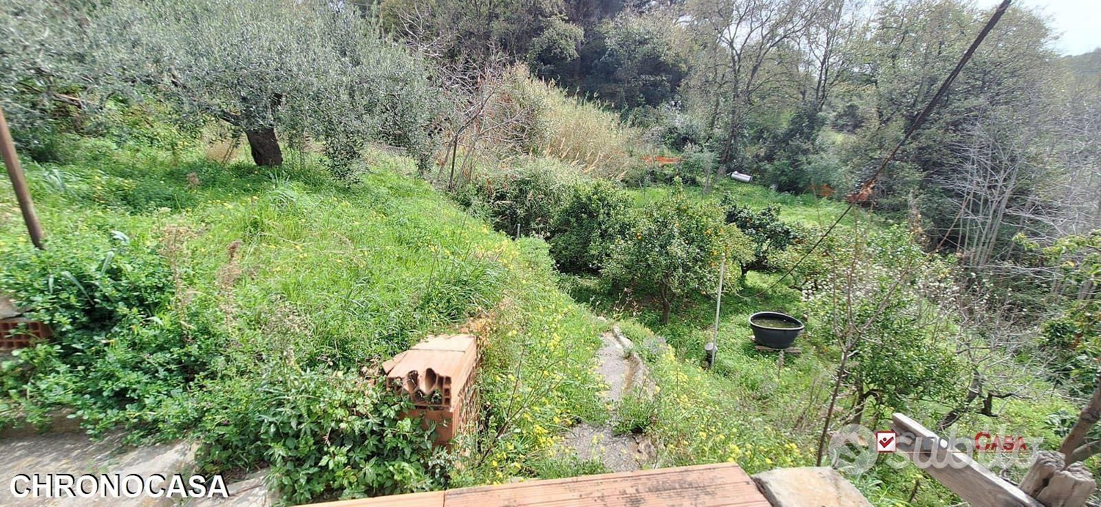 Rometta, funzionale terreno agricolo terrazzato - Altro