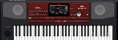 korg Pa700 ultima serie pari al nuovo