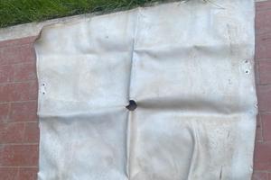 Rivestimento tetto firebird trans am/camaro