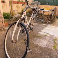 Bicicletta da donna usata