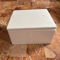 scatola dì polistirolo