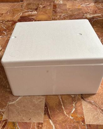 scatola dì polistirolo