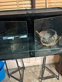 Terrario