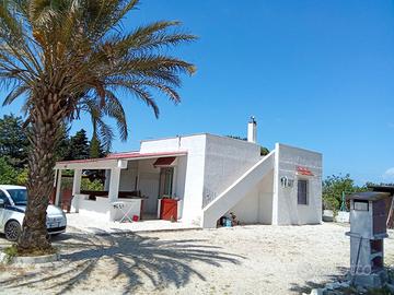 Appartamento solo a trasfertisti Brindisi