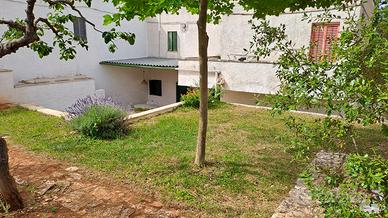 Casa vacanza selva di Fasano