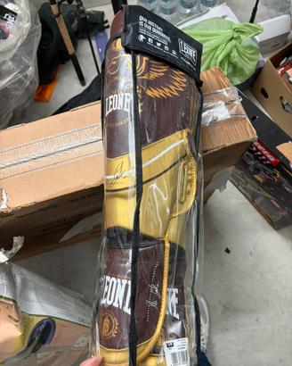 Parastinchi leone sigillati