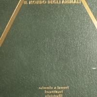 LIbro mondo animali, mamiferi, vulume 1