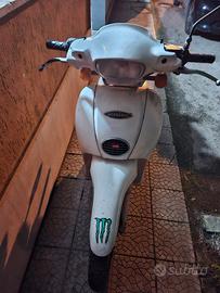 scarabeo