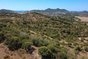 Quattro lotti di terreno agricolo