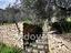 Immagine 21