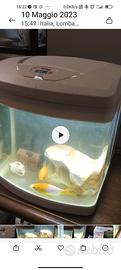 Mini-acquario professionale