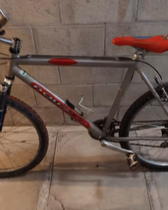 bicicletta da corsa