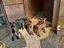 Immagine 3