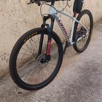 MTB orbe alma h30