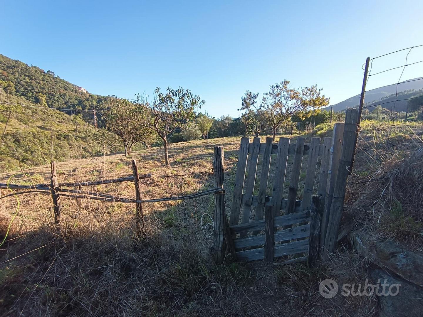 Terreno agricolo carrabile a sestri levante - 2.10 - Vista 5