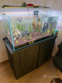 Acquario + mobile e accessori