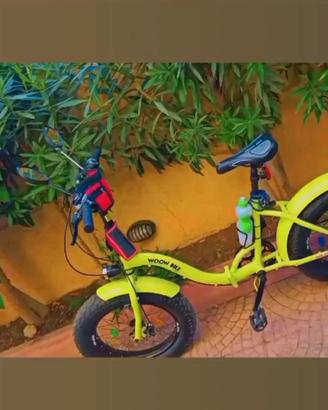 Bicicletta 