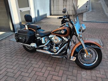 HD Heritage Softail 105esimo anniversario