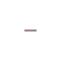 DJI Flip Fly More Combo (DJI RC 2) - NUOVO