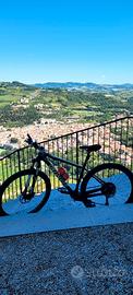 MTB SPECIALIZED in carbonio 