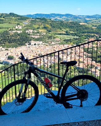MTB SPECIALIZED in carbonio 