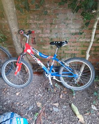 Bicicletta