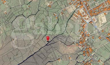 Terreno Agricolo Alvignano [Cod. rif 3227414VCG]