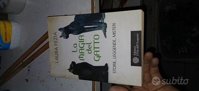 libro la magia del gatto