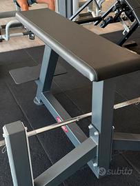 Seal Row Bench