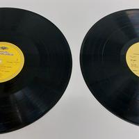 🎶 Collezione di dischi in vinile di Schubert ecc.