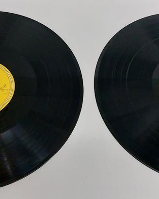 🎶 Collezione di dischi in vinile di Schubert ecc.