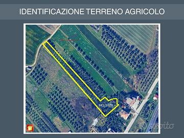 Agricolo a Verucchio