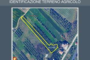 Agricolo a Verucchio