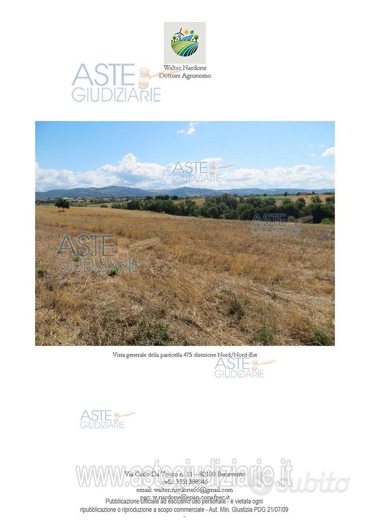 Terreno Agricolo Calvi [A4346608] - Vista 2