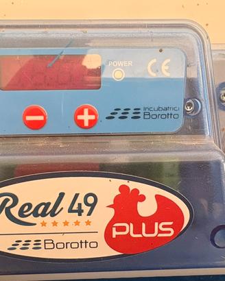 Incubatrice REAL 49 PLUS EXPERT