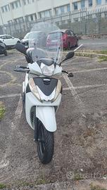 SH 300 SPORT