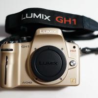 Panasonic LUMIX GH1 GOLD da collezione PERFETTA!😎